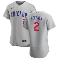 Chicago Chicago Cubs #2 Nico Hoerner Men's Nike Gray Road 2020 Authentic Team Jersey