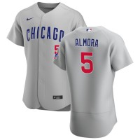 Chicago Chicago Cubs #5 Albert Almora Jr. Men's Nike Gray Road 2020 Authentic Team Jersey