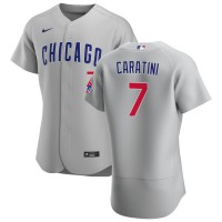 Chicago Chicago Cubs #7 Victor Caratini Men's Nike Gray Road 2020 Authentic Team Jersey