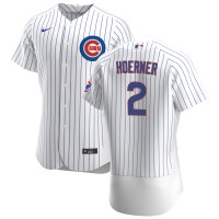 Chicago Chicago Cubs #2 Nico Hoerner Men's Nike White Home 2020 Authentic Player Jersey