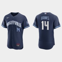 Chicago Chicago Cubs #14 Ernie Banks Men's Nike 2021 City Connect Authentic Navy MLB Jersey