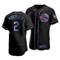 Chicago Chicago Cubs #2 Nico Hoerner Men's Nike Iridescent Holographic Collection MLB Jersey - Black