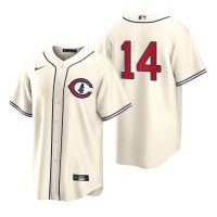 Chicago Chicago Cubs #14 Ernie Banks Men's 2022 Field of Dreams MLB Game Jersey - Cream