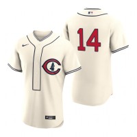 Chicago Chicago Cubs #14 Ernie Banks Men's 2022 Field of Dreams MLB Authentic Jersey - Cream