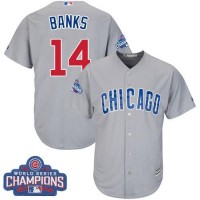 Chicago Cubs #14 Ernie Banks Grey Road 2016 World Series Champions Stitched Youth MLB Jersey