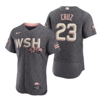 Washington Washington Nationals #23 Nelson Cruz Men's Nike Authentic Gray 2022 City Connect Jersey