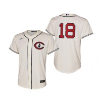 Chicago Chicago Cubs #18 Frank Schwindel Youth 2022 Field of Dreams MLB Game Jersey - Cream