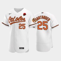 Baltimore Baltimore Orioles #25 Anthony Santander Men's Nike Authentic 2021 Memorial Day MLB Jersey - White