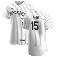 Colorado Colorado Rockies #15 Raimel Tapia Men's Nike White Home 2020 Authentic Player MLB Jersey