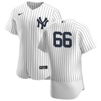 New York New York Yankees #66 Kyle Higashioka Men's Nike White Navy Home 2020 Authentic Player MLB Jersey