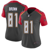 Nike Tampa Bay Buccaneers #81 Antonio Brown Gray Women's Stitched NFL Limited Inverted Legend Jersey