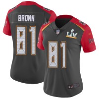 Nike Tampa Bay Buccaneers #81 Antonio Brown Gray Women's Super Bowl LV Bound Stitched NFL Limited Inverted Legend Jersey