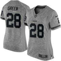 Nike Washington Commanders #28 Darrell Green Gray Women's Stitched NFL Limited Gridiron Gray Jersey
