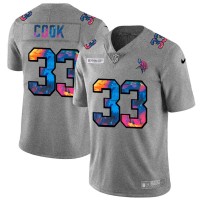 Minnesota Minnesota Vikings #33 Dalvin Cook Men's Nike Multi-Color 2020 NFL Crucial Catch NFL Jersey Greyheather