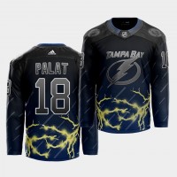 Adidas Tampa Bay Lightning #18 Ondrej Palat 2021 City Concept NHL Stitched Jersey - Black