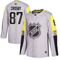 Adidas Pittsburgh Penguins #87 Sidney Crosby Gray 2018 All-Star Metro Division Authentic Stitched Youth NHL Jersey